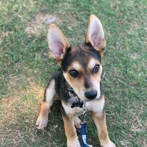 Meet your Posher, Amye